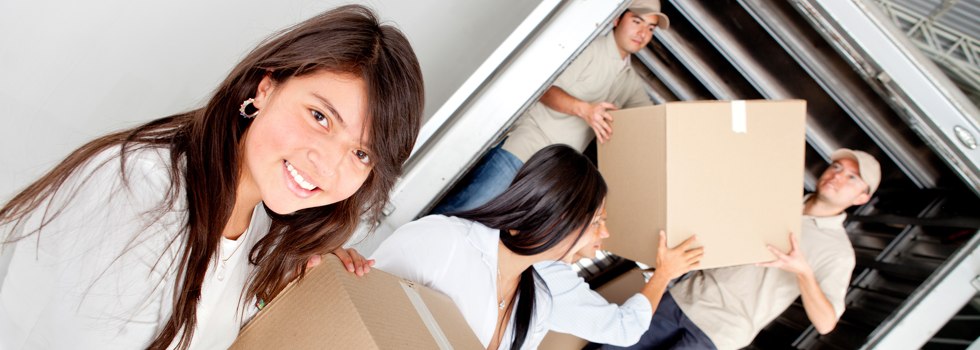 Professional Removalists Holwell
